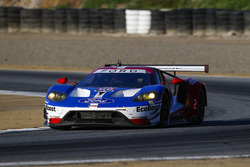 #66 Chip Ganassi Racing Ford GT: Dirk Müller, Joey Hand