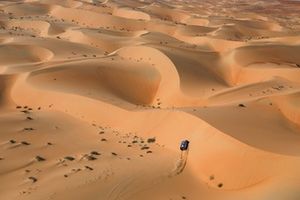 #226 Ford M-Sport Ford: Mattias Ekstrom, Emil Bergkvist 