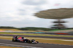 Карлос Сайнс, Scuderia Toro Rosso STR11