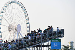 Fans in the grandstand