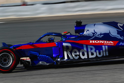 Брендон Хартлі, Toro Rosso STR13 Honda