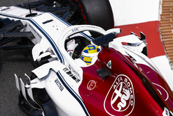 Marcus Ericsson, Sauber C37