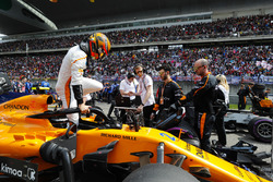 Stoffel Vandoorne, McLaren, sur la grille