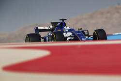 Marcus Ericsson, Sauber C36