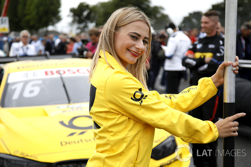 La grid girl di Timo Glock, BMW Team RMG