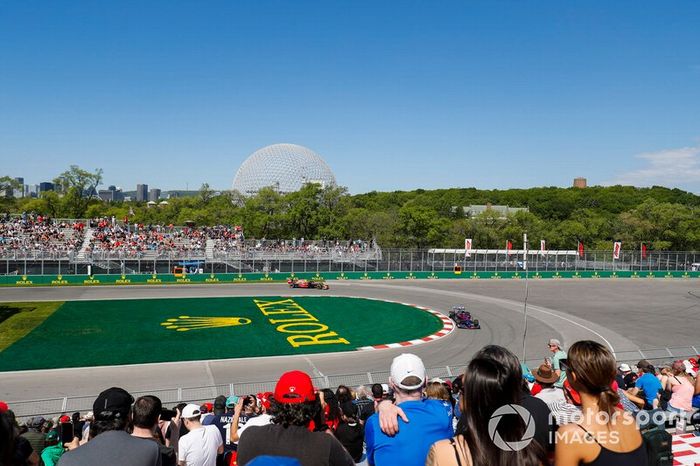 Alexander Albon, Toro Rosso STR14, Pierre Gasly, Red Bull Racing RB15