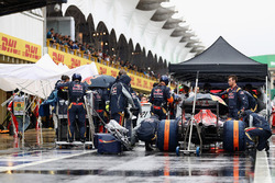 Карлос Сайнс-молодший, Scuderia Toro Rosso STR11