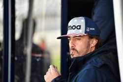 Fernando Alonso, United Autosports