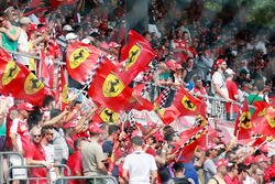Ferrari fans and flags