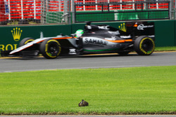 Nico Hulkenberg, Sahara Force India F1 VJM09 sorpassa un'anatra