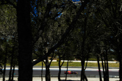 Max Verstappen, Red Bull Racing RB14