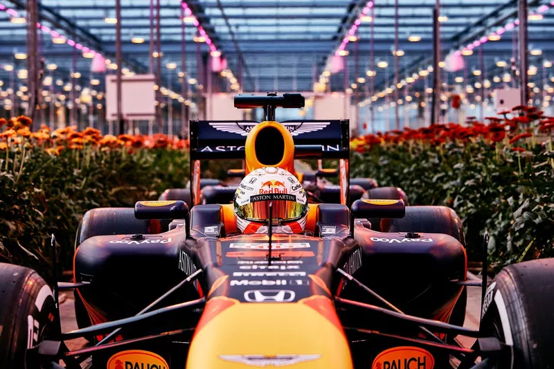 Max Verstappen, Red Bull Racing