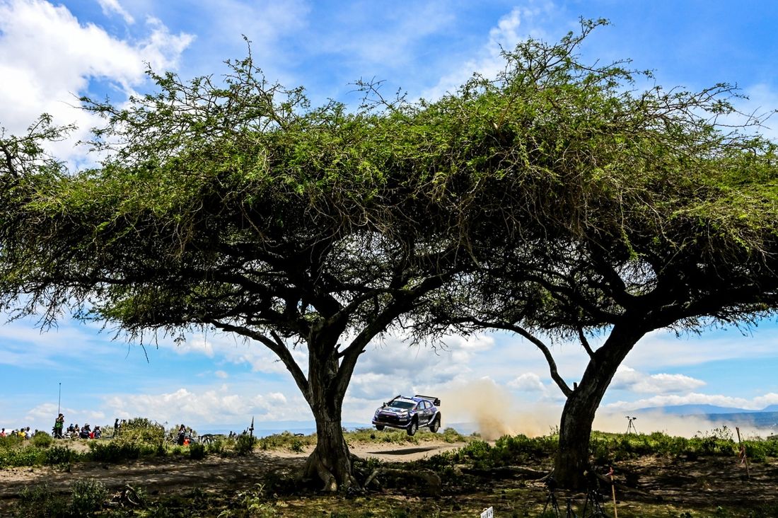 Jourdan Serderidis, Frédéric Miclotte, M-Sport Ford World Rally Team Ford Puma Rally1
