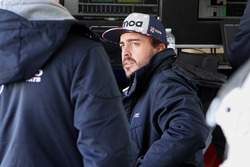 Fernando Alonso, United Autosports