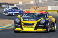 Calvert Dynamics