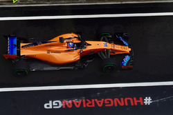 Фернандо Алонсо, McLaren MCL33