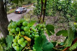 Thierry Neuville, Nicolas Gilsoul, Hyundai i20 WRC, Hyundai Motorsport