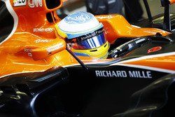 Fernando Alonso, McLaren