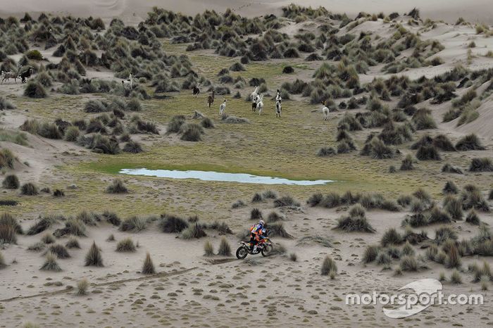 #14 Red Bull KTM Factory Racing: Sam Sunderland