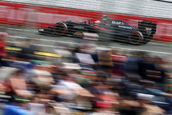 Jenson Button, McLaren MP4-31