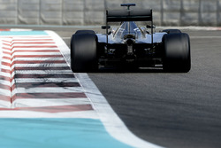 Pascal Wehrlein, Mercedes AMG F1 con las nuevas Pirelli 2017
