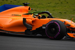 Stoffel Vandoorne, McLaren MCL33, aero paint on halo