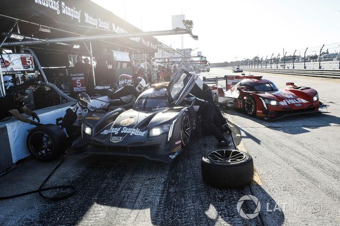#5 Action Express Racing Cadillac DPi, P: Joao Barbosa, Christian Fittipaldi, Filipe Albuquerque, pit stop, #31 Action Express Racing Cadillac DPi, P: Eric Curran, Mike Conway, Felipe Nasr