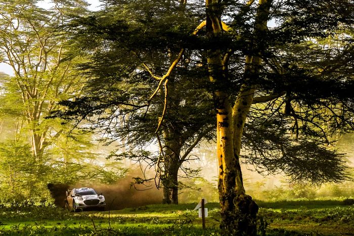 Джошуа Макерлин, Эоин Трейси, команда M-Sport Ford World Rally Team Ford Puma Rally1