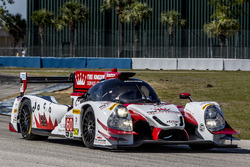 #60 Michael Shank Racing with Curb/Agajanian Ligier JS P2 Honda: John Pew, Oswaldo Negri, Olivier Pla