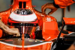 Stoffel Vandoorne, McLaren
