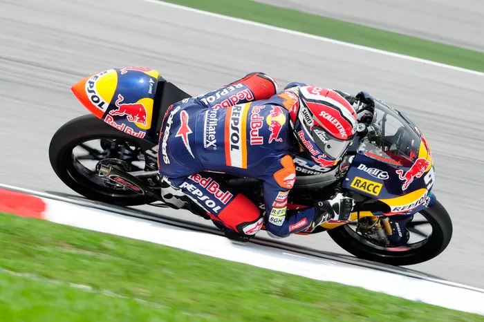 12. GP de Malasia 2010 - Sepang