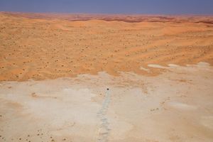 Ford M-Sport Ford #228: Mitchell Guthrie, Kellon Walch 