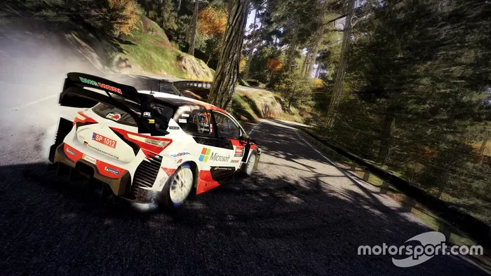 Screenshot WRC 9