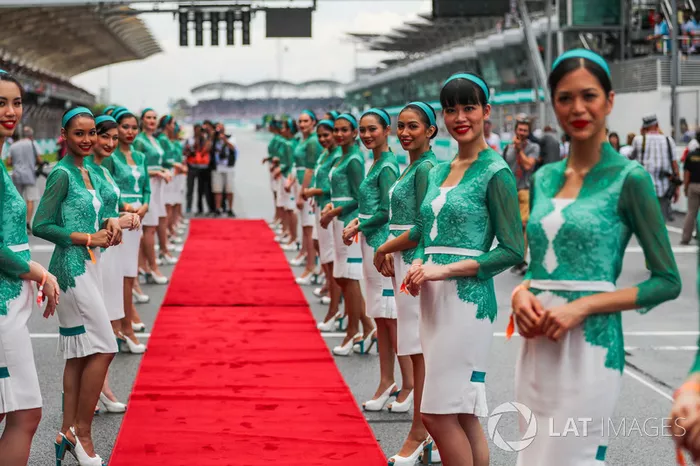 Chicas de la parrilla