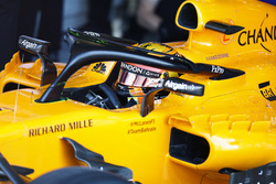 Stoffel Vandoorne, McLaren