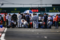 Williams engineers on the grid with Sergey Sirotkin, Williams FW41, prior to the start