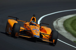 Fernando Alonso, Andretti Autosport Honda