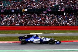 Pascal Wehrlein, Sauber C36