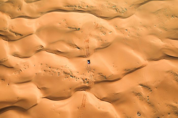 #202 Toyota Gazoo Racing W2Rc Toyota: Henk Lategan, Brett Cummings