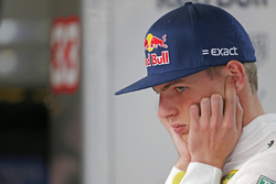 Max Verstappen, Red Bull Racing
