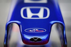 El morro del Toro Rosso