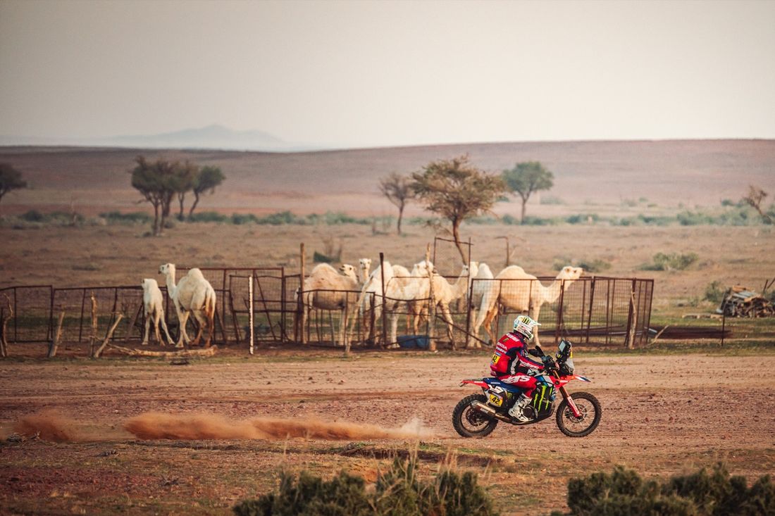 #42 Monster Energy Honda HRC Honda: Adrien Van Beveren