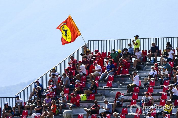 Fans en las tribunas