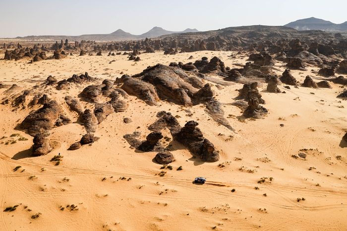 #227 Ford M-Sport Ford : Nani Roma, Alex Haro Bravo