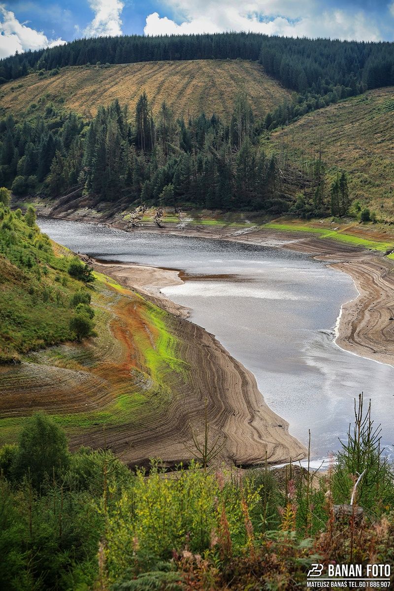 Rali Ceredigion 2025