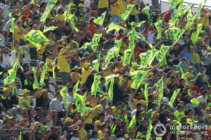 Fans