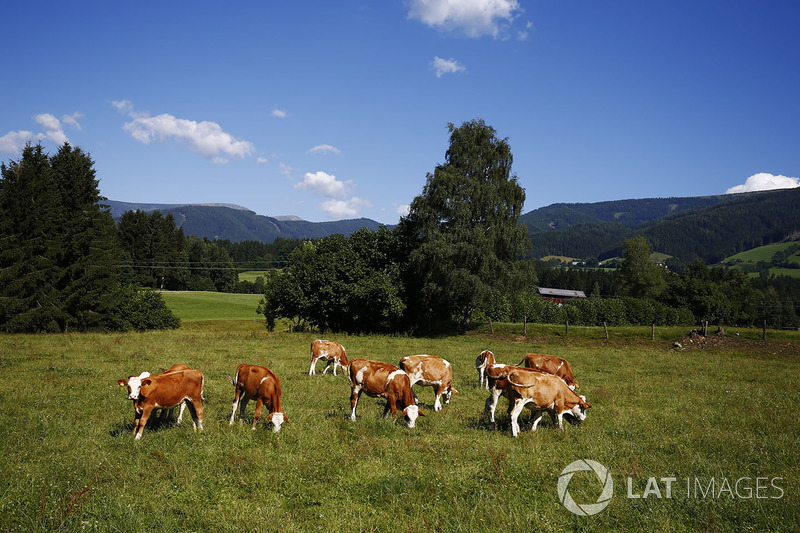 Impressionen aus Österreich