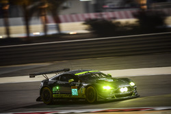 #97 Aston Martin Racing Aston Martin Vantage GTE: Даррен Тернер, Ричи Стэнэвей