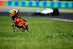 Ein Teddybär verfolgt das Rennen der Formel 1 am Hungaroring