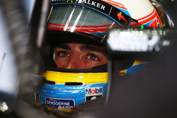 Fernando Alonso, McLaren MP4-31